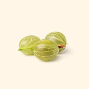 Gooseberry - Зображення 4