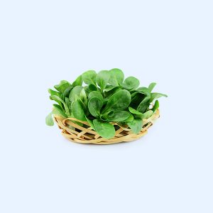 Spinach - Зображення 4